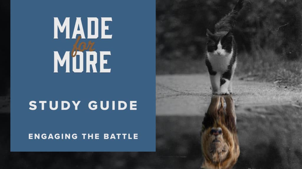 Study Guide, Engaging the Battle