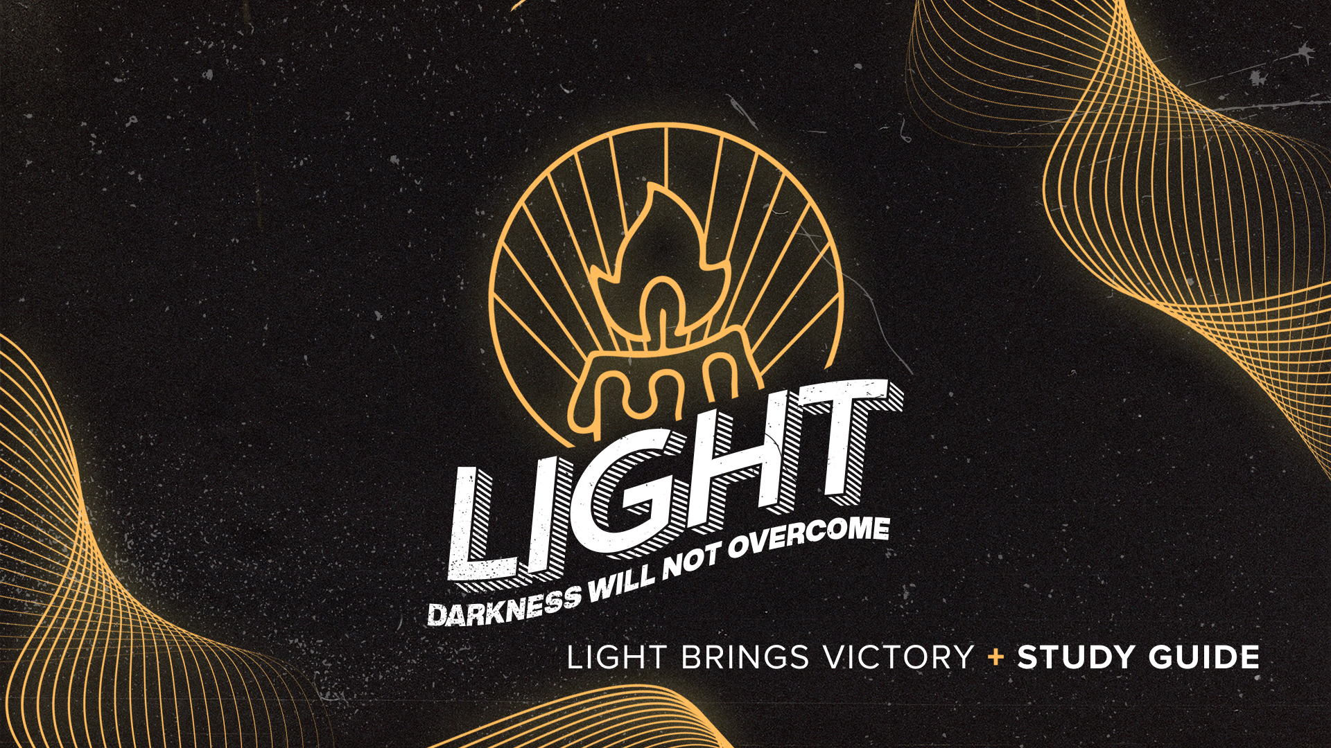Light-Brings-Victory-Study-