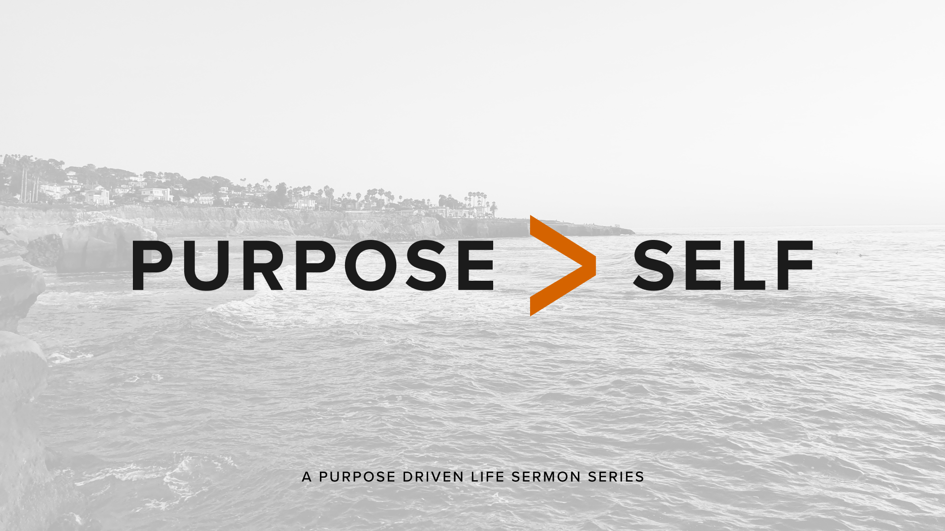 Purpose Sermon Series